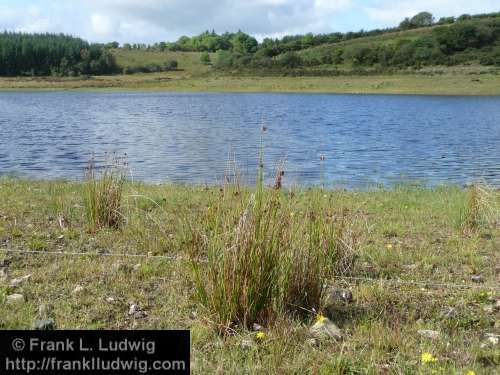 Lough Nasool